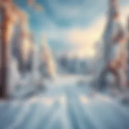 A snowy scene in Germany showing icy trees and frozen ground