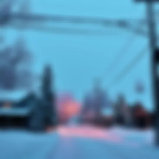 A view of a neighborhood covered in ice and snow, with trees weighed down and power lines visible overhead, signaling severe cold conditions.